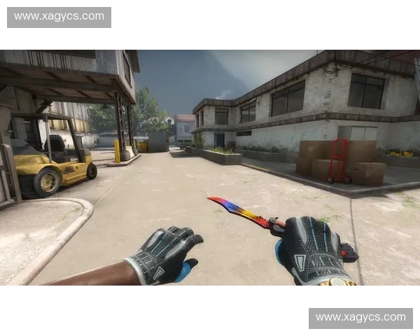 CSGOTK平台解析及其在游戏皮肤交易中的应用与发展趋势